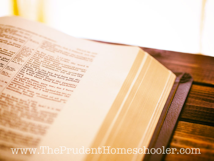 When the baby is screaming, the toddler is whining, and your kindergartener won't stop nagging, it is easy to want to quit. You NEED these verses NOW! Commit them to memory for those parenting days when you want to throw your hands up and scream! | The Prudent Homeschooler