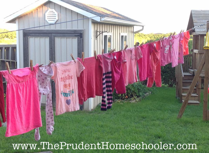 Do you ever have that terrible feeling where your home feels so disorganized that you cannot breathe? I definitely do, and then it leads to frustration in homeschooling, laziness in accomplishing other tasks, and an overall feeling of overwhelm! Follow these 5 Easy Tips to conquer the chaos and finally enjoy some peace at home. | The Prudent Homeschooler