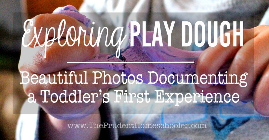 What does it look like to explore play dough for THE FIRST TIME?! Beautiful photos documenting a toddler's first experience.