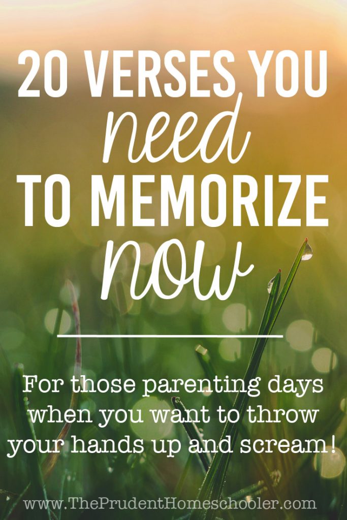 When the baby is screaming, the toddler is whining, and your kindergartener won't stop nagging, it is easy to want to quit. You NEED these verses NOW! Commit them to memory for those parenting days when you want to throw your hands up and scream! | The Prudent Homeschooler