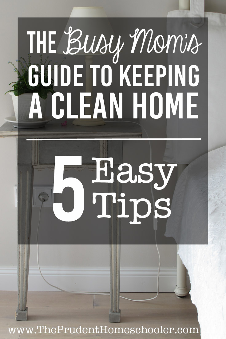 Busy Moms Guide and Tips to Keeping a Clean Kitchen at Home