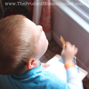 Children seem to notice everything around them and share an excitement that can even be overwhelming at times. How do we help our children to see and understand their world as it functions? Beginning TODAY, help your child to observe more clearly the world in which we live. | The Prudent Homeschooler