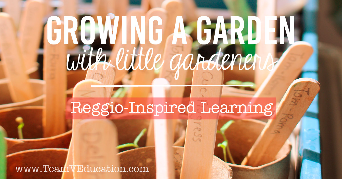 Growing a Garden with little gardeners. Embracing the Reggio Emilia Approach to learning by engaging our children's interests - dirt! Check out how we grew these gorgeous plants for our kitchen garden.