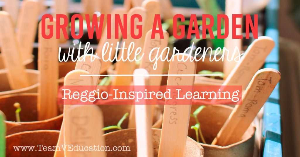 Growing a Garden with little gardeners. Embracing the Reggio Emilia Approach to learning by engaging our children's interests - dirt! Check out how we grew these gorgeous plants for our kitchen garden.