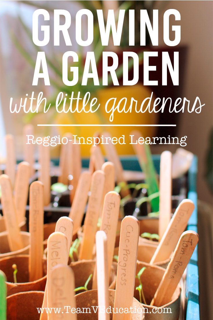 Growing a Garden with little gardeners. Embracing the Reggio Emilia Approach to learning by engaging our children's interests - dirt! Check out how we grew these gorgeous plants for our kitchen garden.