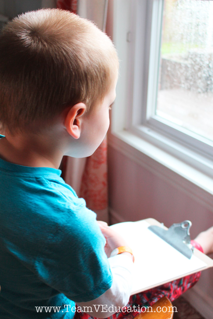 How to deepen your child's understanding of the world around them. Observe & document with children! Children seem to notice everything around them and share an excitement that can even be overwhelming at times. Use these tips for observation and sketching to help children to see and understand their world as it functions.